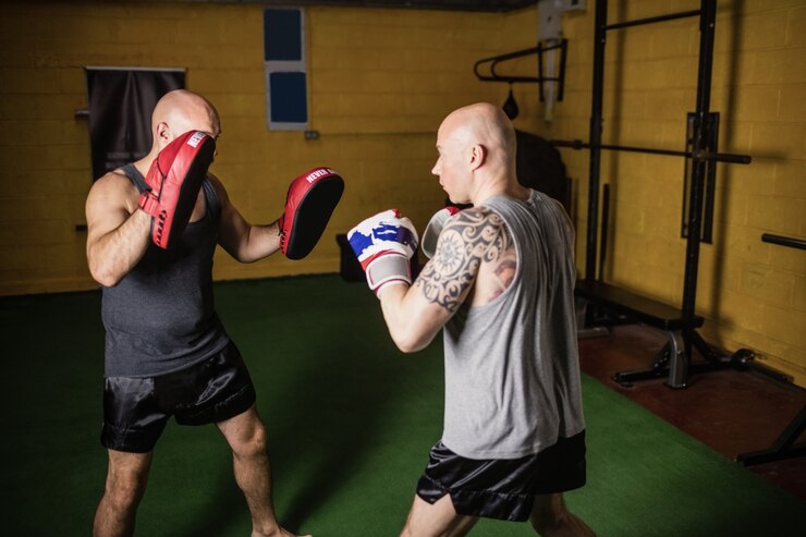 Почему бой Емельяненко и UFC так и не состоялся